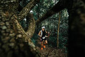 BIB: 
                            <button type="button" onclick="openModal(25708659)" class="btn btn-primary btn-sm float-right btn-popup" data-toggle="modal" data-target=".modal-high-quality">
                        <i class="fas fa-shopping-cart"></i> Add to Cart
                    </button>
                                            <button type="button" onclick="isThisMe(25708659, true)" class="btn btn-success btn-sm float-right btn-popup btn-isme hidden" data-toggle="tooltip" data-placement="bottom" title="นี่คือรูปของคุณใช่ไหม คลิกที่นี่เพื่อเอาเข้าอัลบั้ม">
                        <i class="fas fa-plus"></i> Add to album
                    </button>
                    <button type="button" onclick="isThisMe(25708659, false)" class="btn btn-warning btn-sm float-right btn-popup btn-isnotme hidden">
                        <i class="fas fa-ban"></i> Remove from album
                    </button>